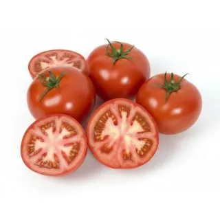Compra TOMATE SVTH1214 F1 (1.000 Semillas) en la tienda online Fito Agrícola