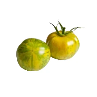 Compra TOMATE TIVERTA F1 (1000 Semillas). en la tienda online Fito Agrícola