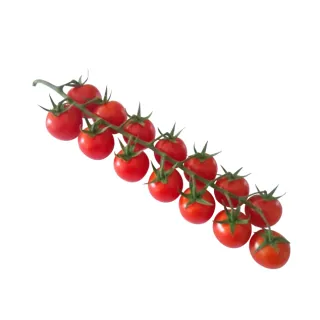 Compra TOMATE TYVALTO F1 (1000 Semillas). en la tienda online Fito Agrícola