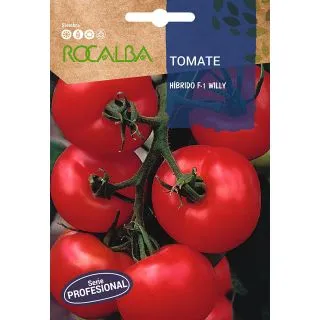 Compra TOMATE WILLY F-1 (Cerca de 30 Semillas) en la tienda online Fito Agrícola