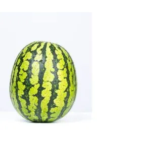 Compra SANDÍA TROPHY F1 (1.000 Semillas) en la tienda online Fito Agrícola