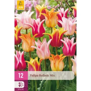 Compra TULIPÁN BALLADE MIX XXL en la tienda online Fito Agrícola