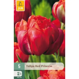 Compra TULIPÁN RED PRINCESS en la tienda online Fito Agrícola