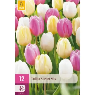 Compra TULIPÁN SORBET MIX XXL en la tienda online Fito Agrícola