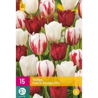 Compra TULIPÁN DUTCH DESIGN MIX XXL en la tienda online Fito Agrícola