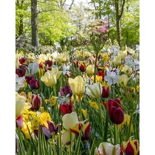 Compra WILD GARDEN (100 Unid.). en la tienda online Fito Agrícola