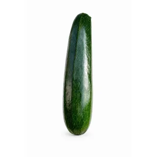 Compra CALABACÍN YAKARTA F1 (1.000 Semillas) en la tienda online Fito Agrícola