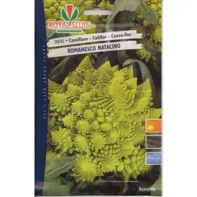 Compra ROMANESCO NATALINO (4 gr. - Aproximativ 1500 de semințe). en la tienda online Fito Agrícola