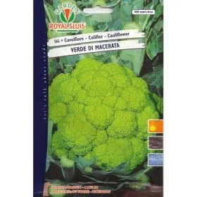 Compra COLIFLOR VERDE DE MACERATA (6 gr.). en la tienda online Fito Agrícola