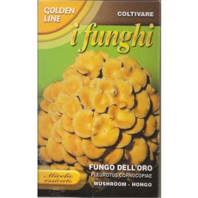 Compra FUNGO DELL´ORO - CUERNO DE LA ABUNDACIA (100 gr.). en la tienda online Fito Agrícola
