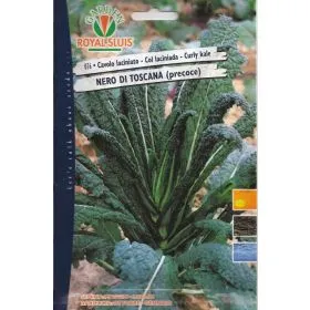 Compra VARZĂ LACINIATA NEAGRĂ DIN TOSCANA TIMPURIE (6 gr.). en la tienda online Fito Agrícola