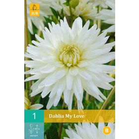 Compra DALIA MY LOVE en la tienda online Fito Agrícola