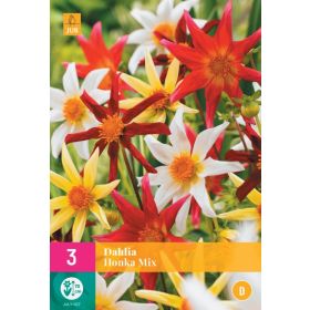 Compra DALIA HONKA MIX XXL en la tienda online Fito Agrícola