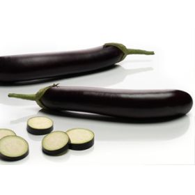 Compra BERENJENA TIJUANA F1 (500 Semillas). en la tienda online Fito Agrícola