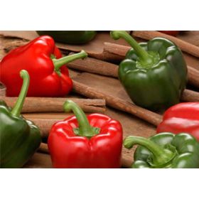 Compra PIMIENTO TESÓN F1 (1.000 Semillas) en la tienda online Fito Agrícola