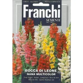 Compra ANTIRIN PITIC TAPET MAGIC MULTICOLOR (50 gr.). en la tienda online Fito Agrícola