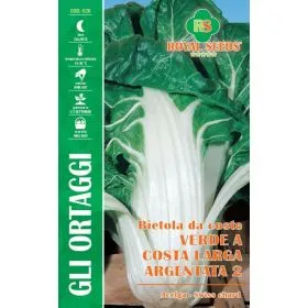 Compra SFEclă verde cu pețiol lat argentat (15 gr.). en la tienda online Fito Agrícola