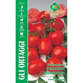 Compra TOMATE PRINȚ BURGHEZ (2 gr.). en la tienda online Fito Agrícola