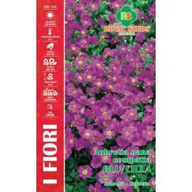 Compra AUBRETIA PURPURIE (0,25 gr.) en la tienda online Fito Agrícola