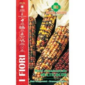 Compra PORUMB ORNAMENTAL MULTICOLOR (6 gr.) en la tienda online Fito Agrícola