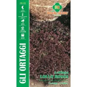 Compra SALATA LOLLO ROSSA (6 gr. - Aproximativ 10.000 de semințe) en la tienda online Fito Agrícola
