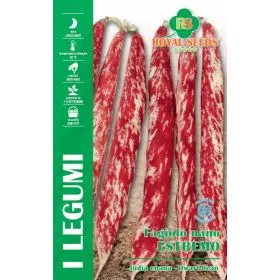 Compra FASOLE ESTREMO (100 gr.). en la tienda online Fito Agrícola