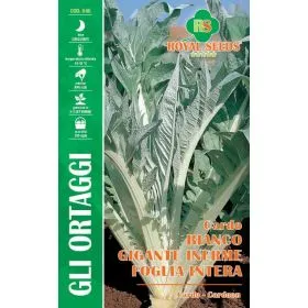 Compra CARDO BIANCO GIGANTE INERME A FOGLIA INTERA (3 gr.) en la tienda online Fito Agrícola