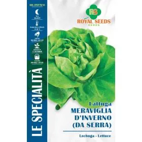 Compra LĂPTUCĂ MARAVILLA DE IARNĂ DA SERRA (5 gr.). en la tienda online Fito Agrícola