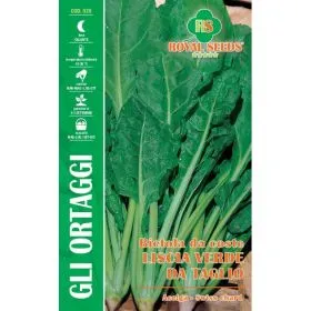 Compra SFEclă LISĂ CU TULPINĂ VERDE (15 gr.). en la tienda online Fito Agrícola