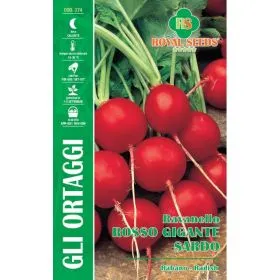 Compra RIDICHE ROȘIE URIAȘĂ SARDO (15 gr.). en la tienda online Fito Agrícola
