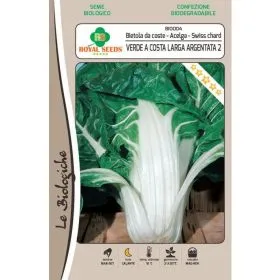 Compra SFEclă VERDE CU PENCA LATĂ ARGENTATA BIO (10 gr.). en la tienda online Fito Agrícola