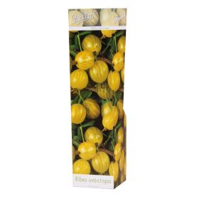 Compra UVA CRISPA BLANCA (1 Unid.). en la tienda online Fito Agrícola