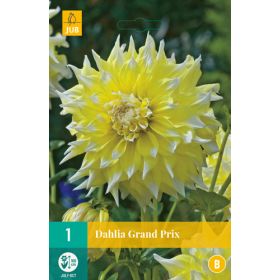 Compra DALIA GRAND PRIX en la tienda online Fito Agrícola