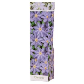 Compra CLEMATIS LIGHTBLUE JUSTA (1 Unid.). en la tienda online Fito Agrícola