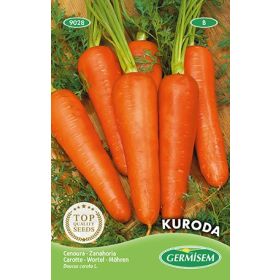 Compra ZANAHORIA KURODA (100 gr.). en la tienda online Fito Agrícola
