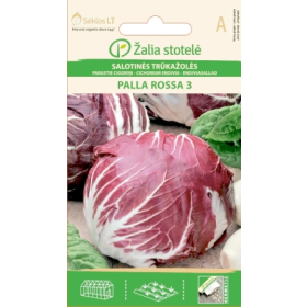 Compra ACHICORIA ITALIANA PALLA ROSSA 3 (1 gr. - Cerca de 600 semillas). en la tienda online Fito Agrícola
