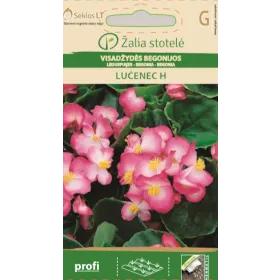 Compra BEGONIA LUCENEC F1 (50 semințe) en la tienda online Fito Agrícola