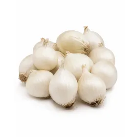 Compra CEAPĂ DE CAL&Ccedil;OT Soiul FABREGAT (Aproximativ 25 kg). en la tienda online Fito Agr&iacute;cola