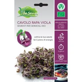 Compra COLIRRABANO VIOLET MICROGREENS BIO (10 gr.) en la tienda online Fito Agrícola