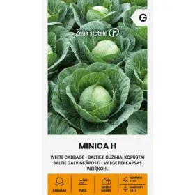 Compra COL MINICA F1 (0,5 gr. - Aproximativ 125 de semințe). en la tienda online Fito Agrícola