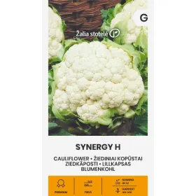Compra CONOPIDĂ SYNERGY F1 Pildorată (15 Semințe). en la tienda online Fito Agrícola