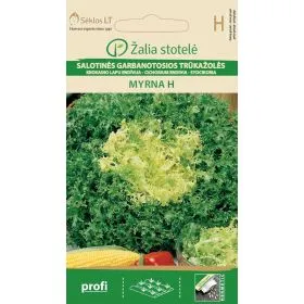 Compra ANDIVE RIZATĂ MYRNA F1 Pildorată (20 Semințe) en la tienda online Fito Agrícola