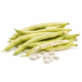 Compra FASOLE CANNELLINO (100 gr.) en la tienda online Fito Agrícola