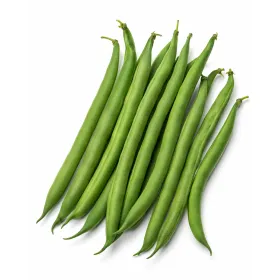 Compra FASOLE XERA (25 kg). en la tienda online Fito Agrícola