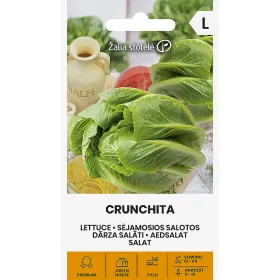 Compra LĂPTUCĂ CRUNCHITA Pildorată (20 Semințe). en la tienda online Fito Agrícola