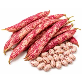 Compra FASOLE LIMBA DE FOC 3 - Sel. Extra (100 gr.) en la tienda online Fito Agrícola