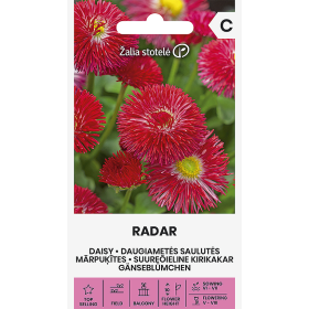 Compra MARGARITA DE LOS PRADOS ROJA RADAR (0,2 gr. - Cerca de 1200 Semillas). en la tienda online Fito Agrícola