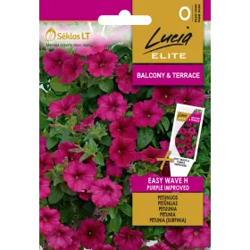 Compra PETUNIA EASY WAVE PLUM VEIN IMPROVED F1 (6 semințe). en la tienda online Fito Agrícola