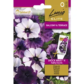 Compra PETUNIA SHOCK WAVE PURPLE TIE DYE F1 (6 semințe). en la tienda online Fito Agrícola
