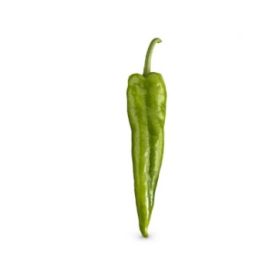 Compra PIMIENTO ALICUM F1 (1.000 Semillas). en la tienda online Fito Agrícola